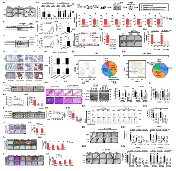 تنظیم فعالیت سلول بنیادی سرطانی با گیرنده هورمون تیروئید β